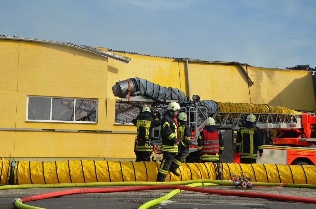 Grossfeuer Poco Lager Koeln Porz Gremberghoven Hansestr P687.JPG - Miklos Laubert